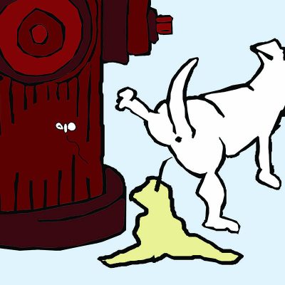 Pongelz Bilder Druck: Hydran Dog